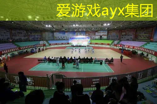 网球拍国内外价格差异