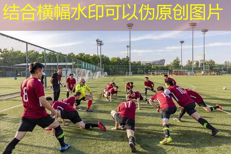 迪卡侬网球拍100元左右