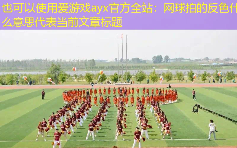 网球拍的反色什么意思