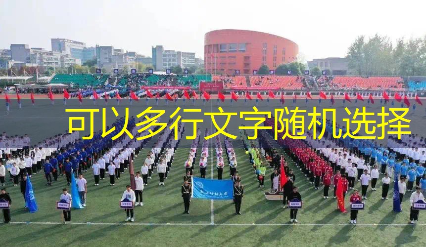23寸网球拍横线几个拍身