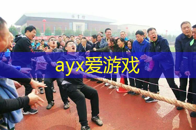 王子停产网球拍怎么样了