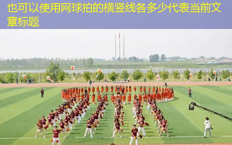 网球拍的横竖线各多少