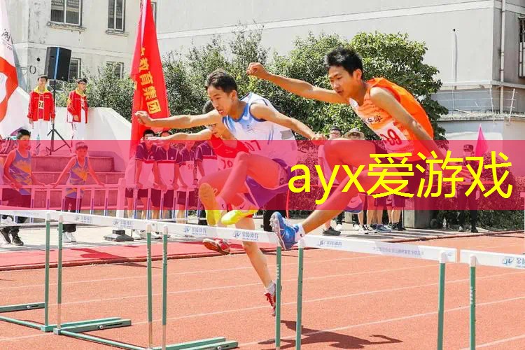 修网球拍的装备叫什么