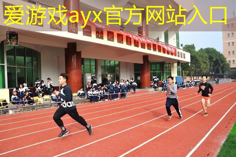 天龙网球拍的价格表
