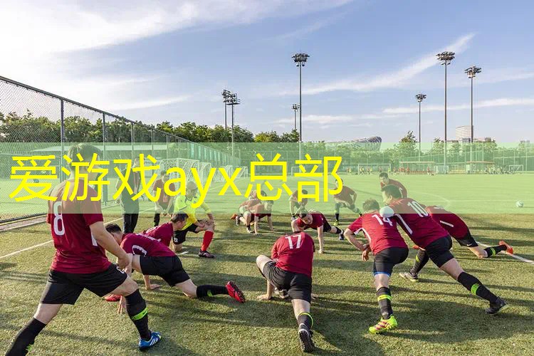 网球拍夏天可以放车里面吗_