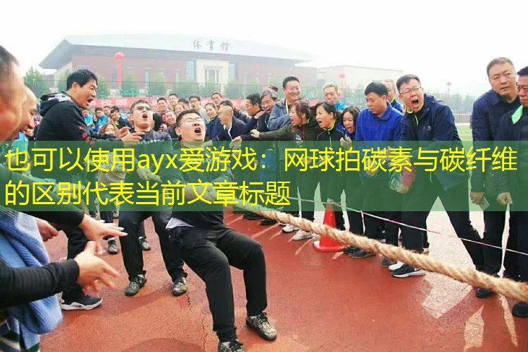 网球拍碳素与碳纤维的区别