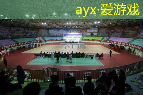 网球拍进阶小拍面怎么选