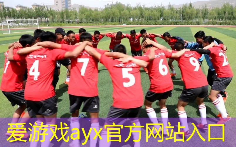 网球拍可以用来当羽毛球拍用吗_