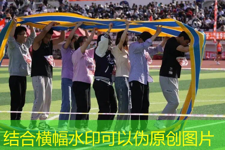 百宝力网球拍总结