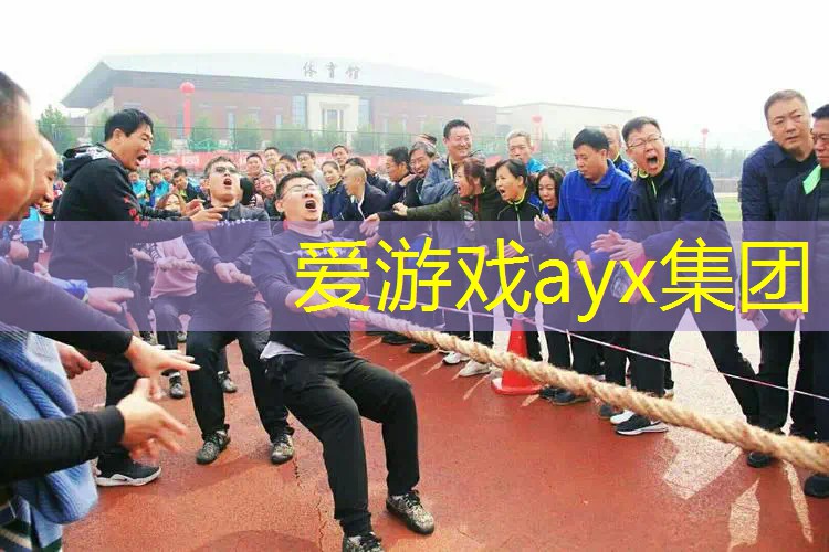 百宝力网球拍不同