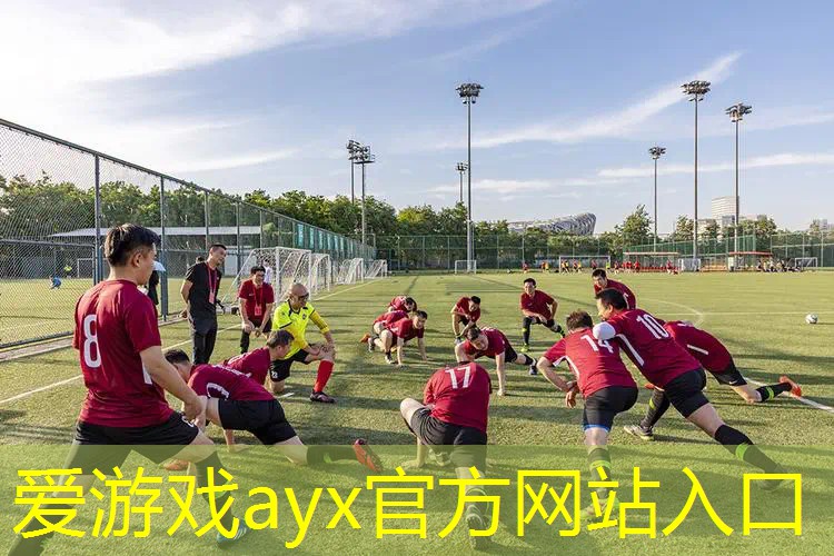 网球拍的框架是什么材料
