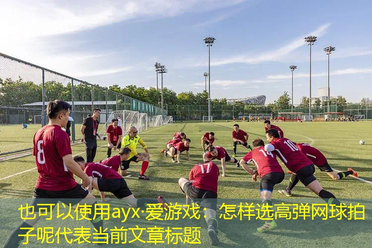 怎样选高弹网球拍子呢