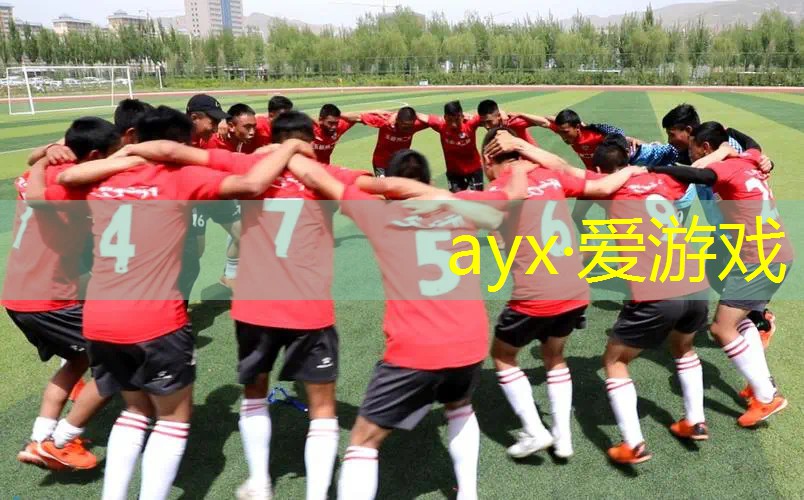 了解塑胶跑道材料标准，帮助您做出最佳选择