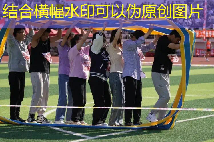 乒乓球台哪个颜色好