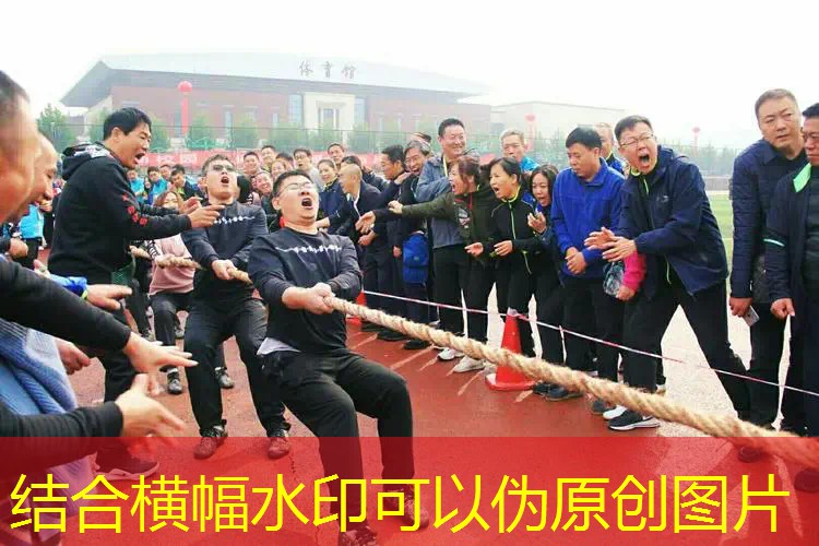 单双杠俯卧撑训练法：增强肩部稳定性和爆发力！