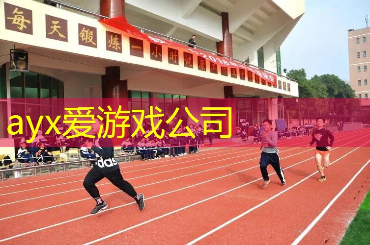 篮球比赛的不可或缺设备：篮球架的重要性