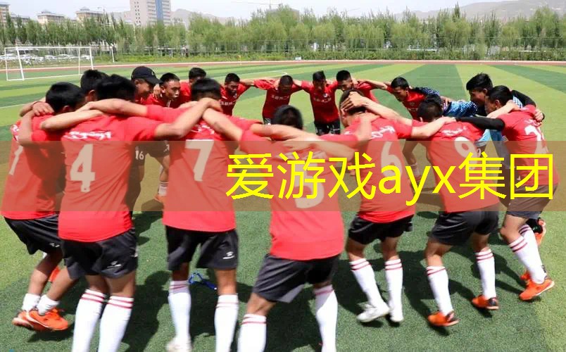 网球拍反拍分解教学法