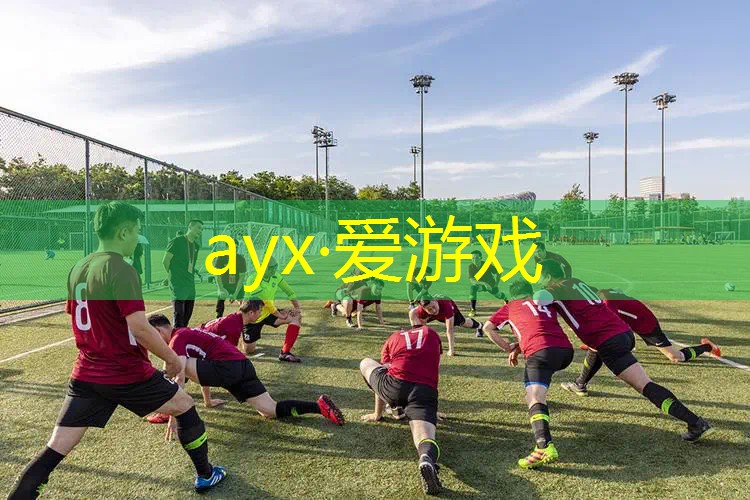 网球拍哪种耐用好用又便宜