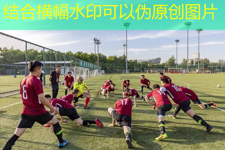 斯瓦泰克泰尼飞网球拍