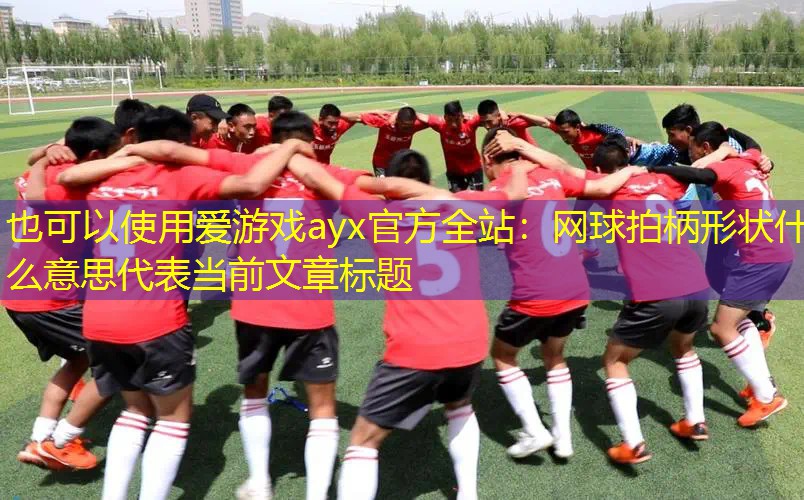 网球拍柄形状什么意思
