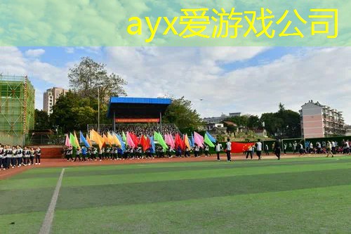 网球拍只用一面吗_
