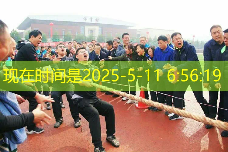 阿迪网球拍选购指南